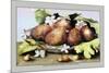 Dish of Figs with Jasmine and Small Pears-Giovanna Garzoni-Mounted Premium Giclee Print