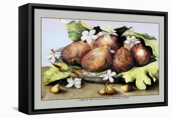 Dish of Figs with Jasmine and Small Pears-Giovanna Garzoni-Framed Stretched Canvas