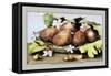 Dish of Figs with Jasmine and Small Pears-Giovanna Garzoni-Framed Stretched Canvas