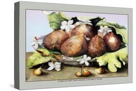 Dish of Figs with Jasmine and Small Pears-Giovanna Garzoni-Stretched Canvas