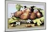 Dish of Figs with Jasmine and Small Pears-Giovanna Garzoni-Mounted Art Print