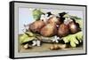 Dish of Figs with Jasmine and Small Pears-Giovanna Garzoni-Framed Stretched Canvas