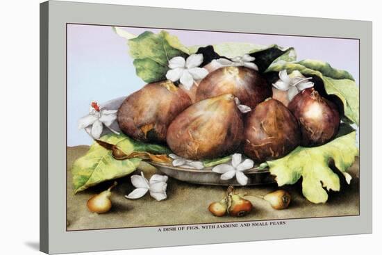 Dish of Figs with Jasmine and Small Pears-Giovanna Garzoni-Stretched Canvas