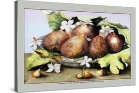 Dish of Figs with Jasmine and Small Pears-Giovanna Garzoni-Stretched Canvas