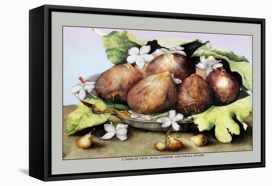 Dish of Figs with Jasmine and Small Pears-Giovanna Garzoni-Framed Stretched Canvas