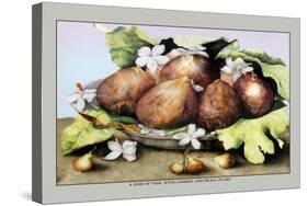 Dish of Figs with Jasmine and Small Pears-Giovanna Garzoni-Stretched Canvas
