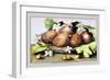 Dish of Figs with Jasmine and Small Pears-Giovanna Garzoni-Framed Art Print