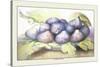 Dish of Figs-Giovanna Garzoni-Stretched Canvas