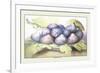 Dish of Figs-Giovanna Garzoni-Framed Premium Giclee Print