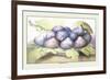 Dish of Figs-Giovanna Garzoni-Framed Premium Giclee Print