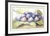 Dish of Figs-Giovanna Garzoni-Framed Premium Giclee Print