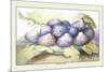 Dish of Figs-Giovanna Garzoni-Mounted Premium Giclee Print