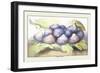 Dish of Figs-Giovanna Garzoni-Framed Art Print