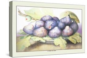 Dish of Figs-Giovanna Garzoni-Stretched Canvas