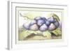 Dish of Figs-Giovanna Garzoni-Framed Art Print