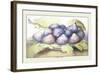 Dish of Figs-Giovanna Garzoni-Framed Art Print