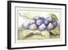 Dish of Figs-Giovanna Garzoni-Framed Art Print