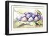 Dish of Figs-Giovanna Garzoni-Framed Art Print