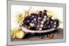 Dish of Grapes and Peaches-Giovanna Garzoni-Mounted Art Print