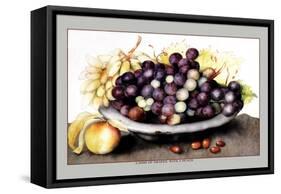 Dish of Grapes and Peaches-Giovanna Garzoni-Framed Stretched Canvas