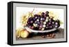 Dish of Grapes and Peaches-Giovanna Garzoni-Framed Stretched Canvas