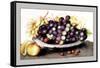 Dish of Grapes and Peaches-Giovanna Garzoni-Framed Stretched Canvas