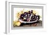 Dish of Grapes and Peaches-Giovanna Garzoni-Framed Art Print