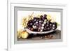 Dish of Grapes and Peaches-Giovanna Garzoni-Framed Art Print