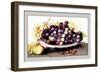 Dish of Grapes and Peaches-Giovanna Garzoni-Framed Art Print