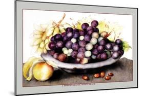 Dish of Grapes and Peaches-Giovanna Garzoni-Mounted Art Print
