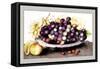 Dish of Grapes and Peaches-Giovanna Garzoni-Framed Stretched Canvas