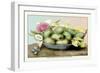 Dish of Medlars, A Rose, and Almonds-Giovanna Garzoni-Framed Art Print