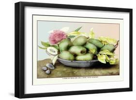 Dish of Medlars, A Rose, and Almonds-Giovanna Garzoni-Framed Art Print