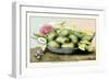 Dish of Medlars, A Rose, and Almonds-Giovanna Garzoni-Framed Art Print