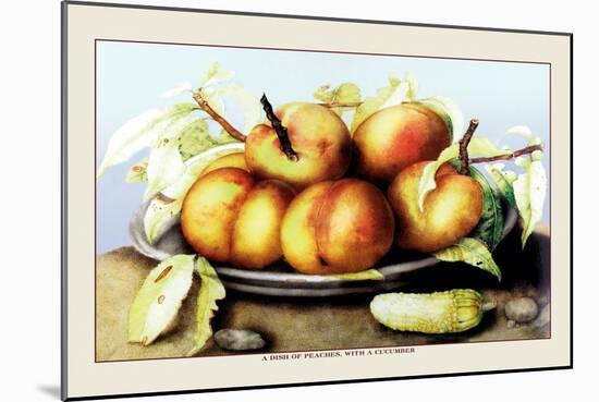 Dish of Peaches with a Cucumber-Giovanna Garzoni-Mounted Art Print