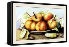 Dish of Peaches with a Cucumber-Giovanna Garzoni-Framed Stretched Canvas