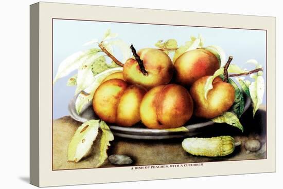Dish of Peaches with a Cucumber-Giovanna Garzoni-Stretched Canvas