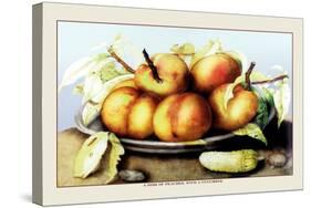 Dish of Peaches with a Cucumber-Giovanna Garzoni-Stretched Canvas