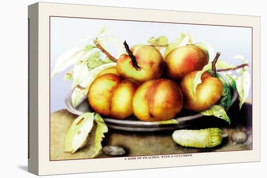 Dish of Peaches with a Cucumber-Giovanna Garzoni-Stretched Canvas