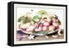 Dish of Plums, Nuts, Jasmine and a Fly-Giovanna Garzoni-Framed Stretched Canvas