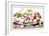 Dish of Plums, Nuts, Jasmine and a Fly-Giovanna Garzoni-Framed Art Print