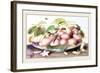 Dish of Plums, Nuts, Jasmine and a Fly-Giovanna Garzoni-Framed Art Print