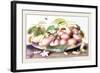 Dish of Plums, Nuts, Jasmine and a Fly-Giovanna Garzoni-Framed Art Print