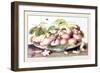 Dish of Plums, Nuts, Jasmine and a Fly-Giovanna Garzoni-Framed Art Print