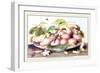 Dish of Plums, Nuts, Jasmine and a Fly-Giovanna Garzoni-Framed Art Print