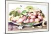 Dish of Plums, Nuts, Jasmine and a Fly-Giovanna Garzoni-Mounted Art Print