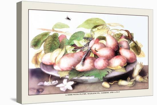 Dish of Plums, Nuts, Jasmine and a Fly-Giovanna Garzoni-Stretched Canvas