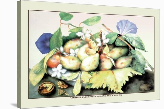 Dish of Plums with Jasmine and Walnuts-Giovanna Garzoni-Stretched Canvas