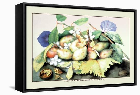 Dish of Plums with Jasmine and Walnuts-Giovanna Garzoni-Framed Stretched Canvas