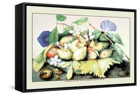 Dish of Plums with Jasmine and Walnuts-Giovanna Garzoni-Framed Stretched Canvas